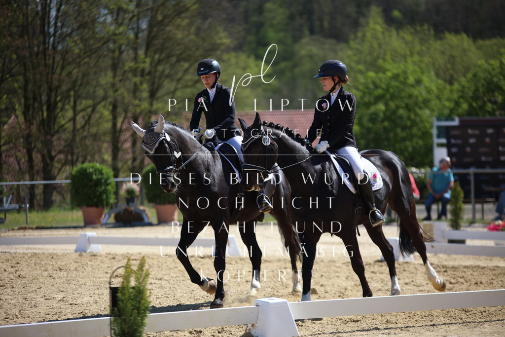 IMGT1853 | pl-fotografie