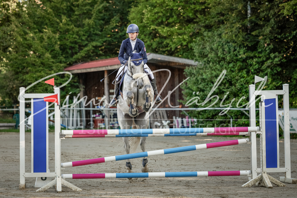 20250906-_3LI2957 | Tierfotografie Pferde, Hunde, Katzen, Haustiere.
Turnierfotografie Reitturniere, Reiten, Springreiten, Dressur in Hanau, dem Main-Kinzig-Kreis und dem Rhein-Main- Gebiet um Frankfurt