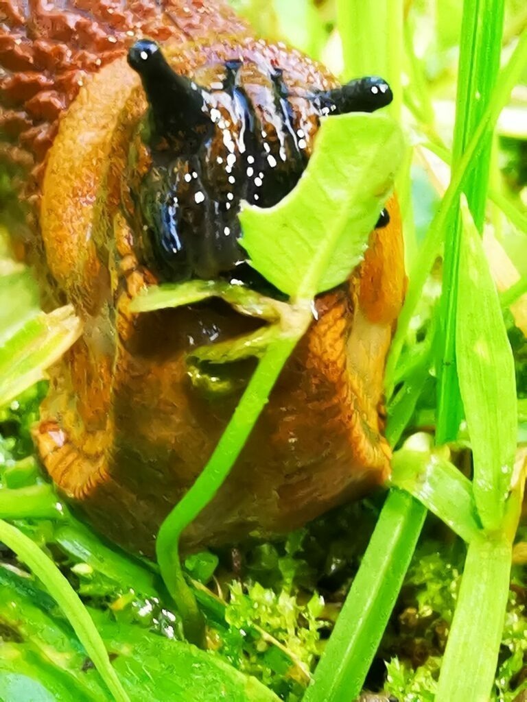 PSX_20220906_230014 | mtkfoto_ - Realisiert mit Pictrs.com