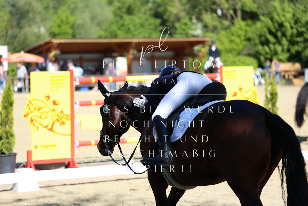 IMGT0190 | pl-fotografie