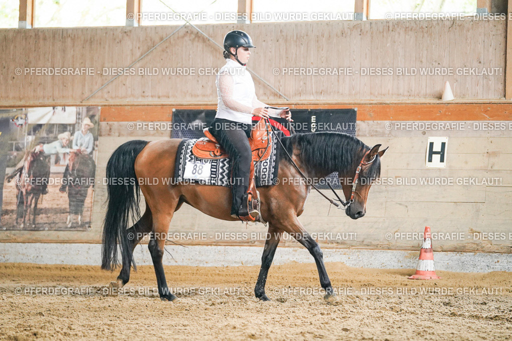 DSC05678 | Pferdegrafie