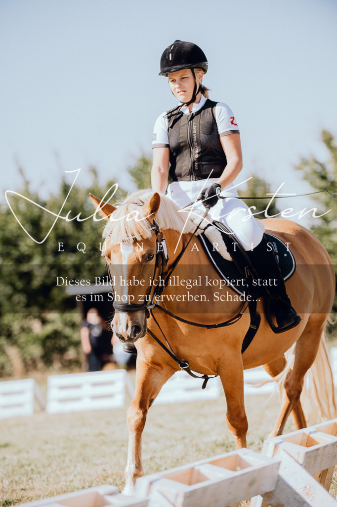 DSC_7095 | Pferde- und Turnierfotografie in Westsachsen. Pferdeportraits, Auftragszeichnungen und intuitive Kunst.
