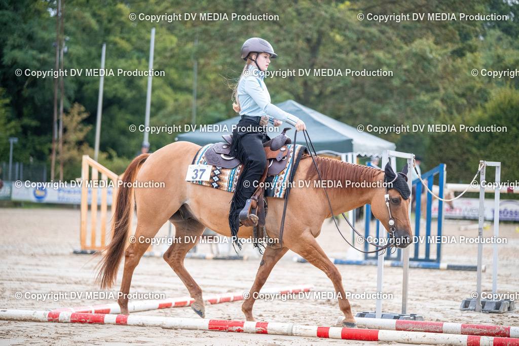 ZS3_4480 | dv-media-shop - Realisiert mit Pictrs.com