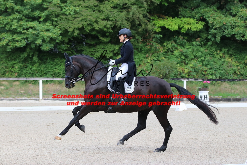 IMG_5918 | lmwpictures - Realisiert mit Pictrs.com