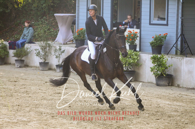 DKP42754 | Turniersportfotografie; Pferdefotografie; Dressurfotografie