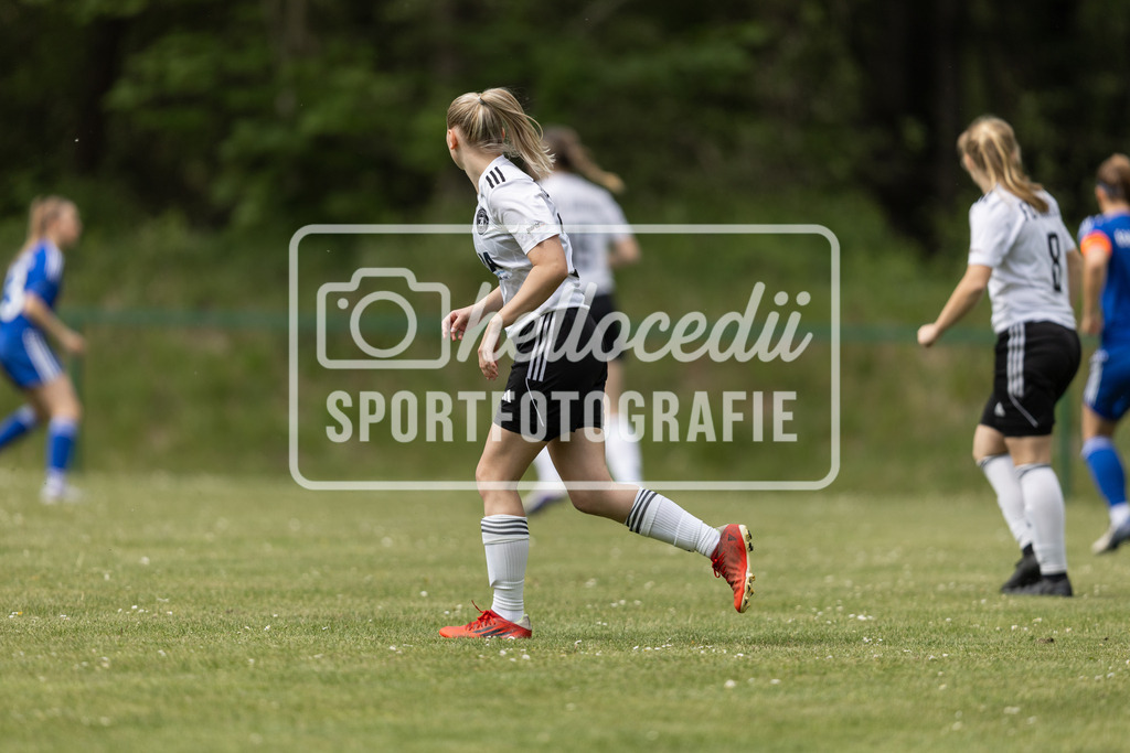 Fußball I Frauen I Saison 2025-2026 I Oberliga Niedersachsen I FC Jesteburg-Bendestorf - BW Hollage I 12630 | realhellocedii - Realisiert mit Pictrs.com