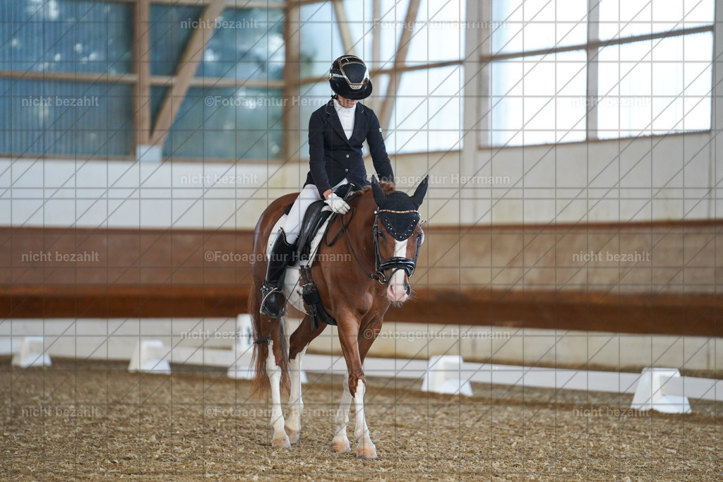 20240824-FAH07064 | Thierhaupten 2024, Bayerisches Landesponyturnier, Turnierbilder, Ponybilder, Turnierfotografen Bayern, Fotoagentur Herrmann