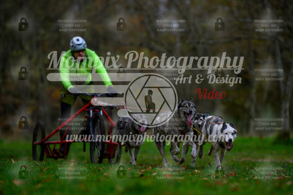 MompixPhotography_Bischwiller24_SA_Kart-11 | PayLife