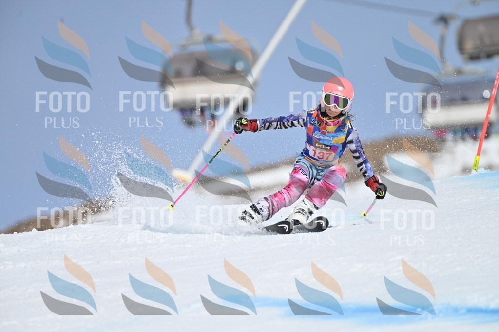 BGV_0082 | holidayphoto