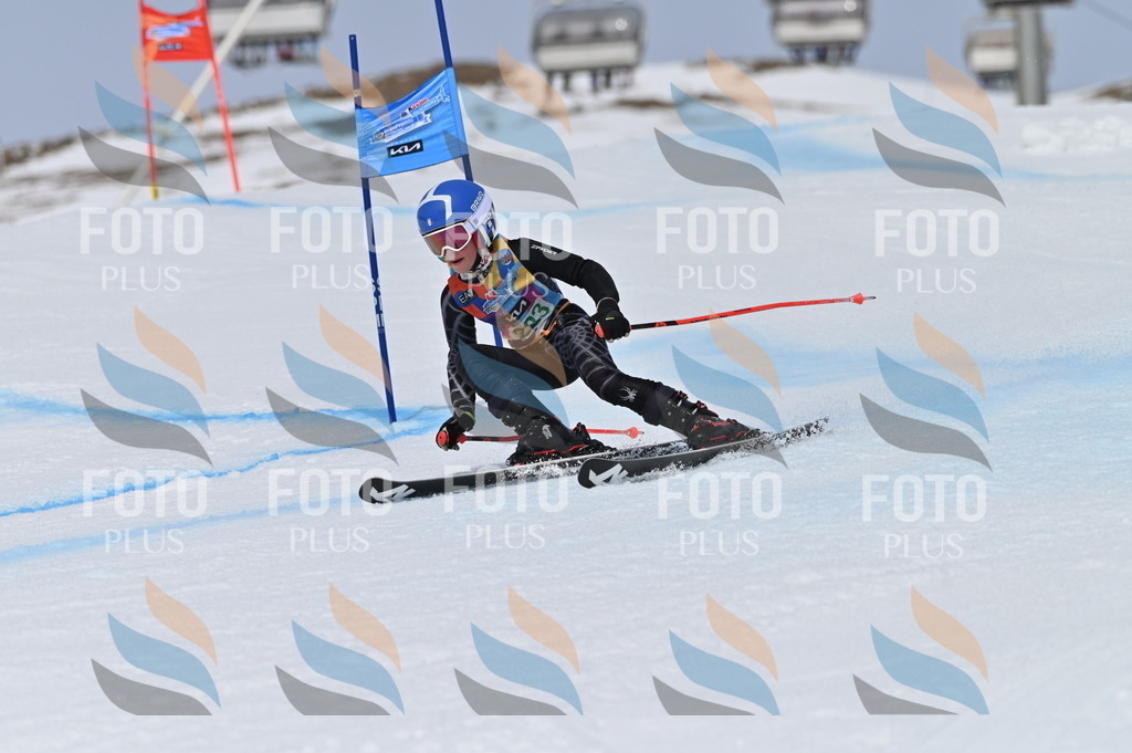 BGV_4386 | holidayphoto