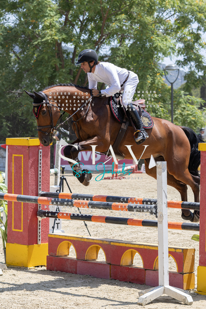 IMG_2436 | s-jay-photography - Realisiert mit Pictrs.com