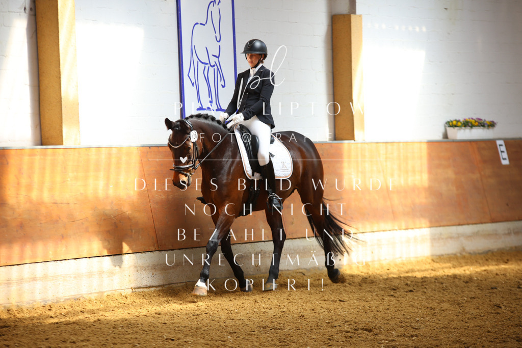 IMGT4570 | pl-fotografie