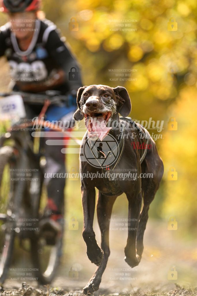 MompixPhotography_ICF_WC_2024_SA_Bike_-393 | PayLife