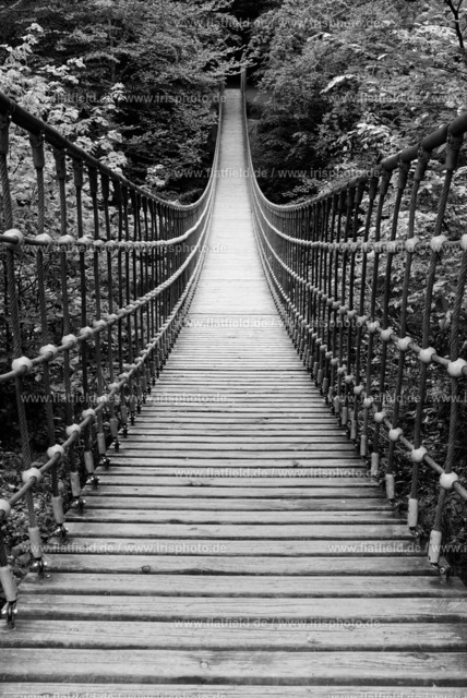 Hängebrücke im Binger Wald | Landschaftsfoto mit Hängebrücke