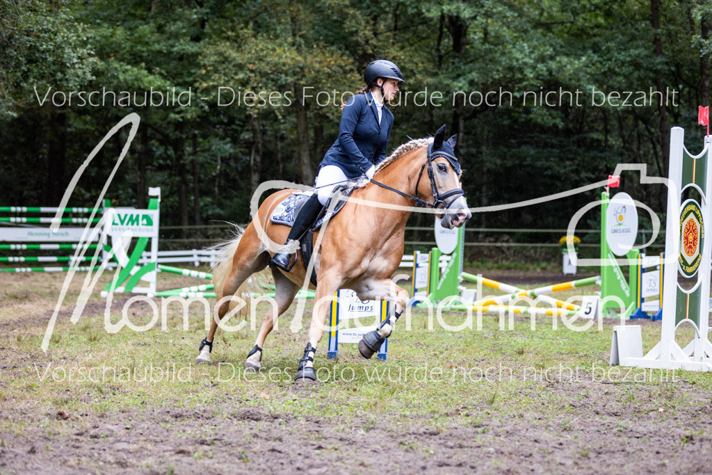 HB-JaD-002 | MomenTaufnahmen Pferdesportfotos