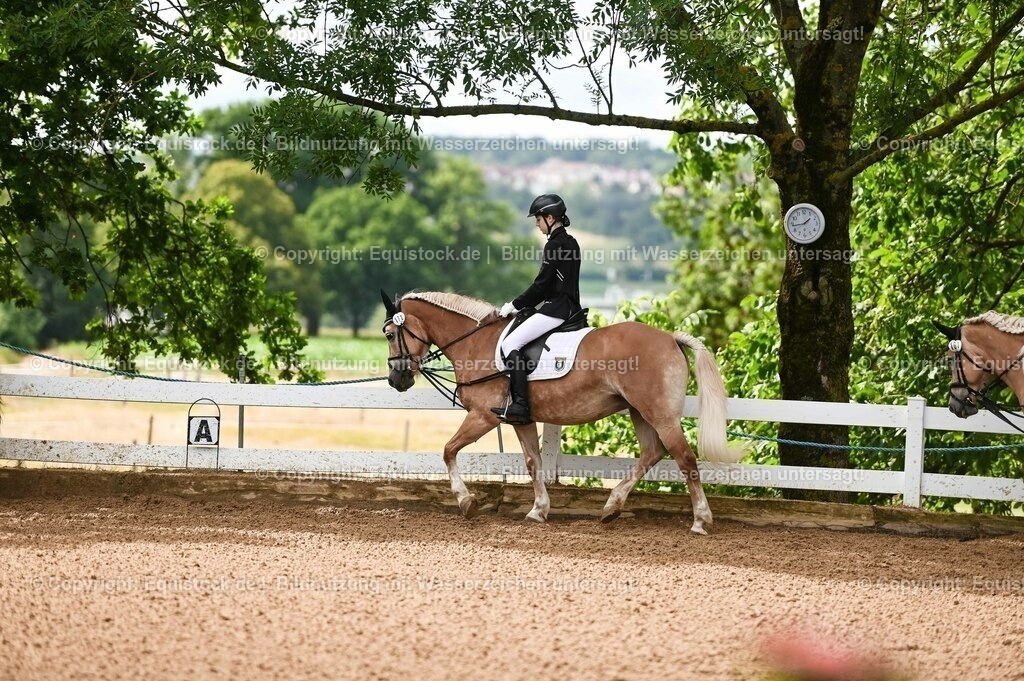 20230716_10-1_Reiter-WB Schritt - Trab - Galopp_0050 | equistock