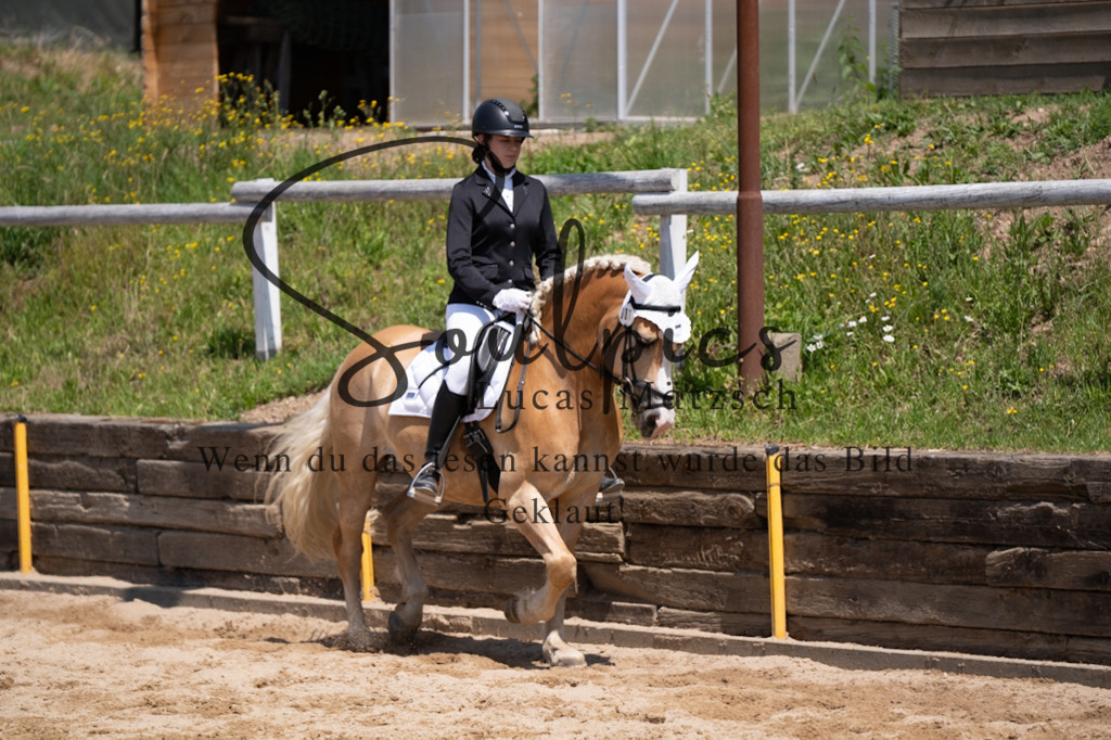 A7V08138 | Pferdefotograf