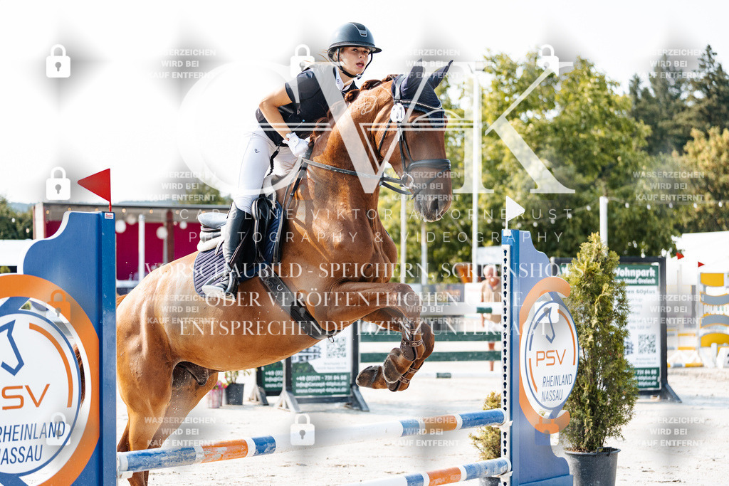 CK902827 | Turnierfotografie Pferdefotografie Trier Rheinland-Pfalz Pferdesport Reitsport Tierfotografie Sportfotografie Pferdevideo Pferdevideografie Equestrianvideography equestrianphotography  - Realisiert mit Pictrs.com