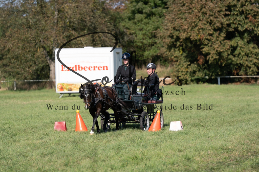 A7V04365 | Pferdefotograf