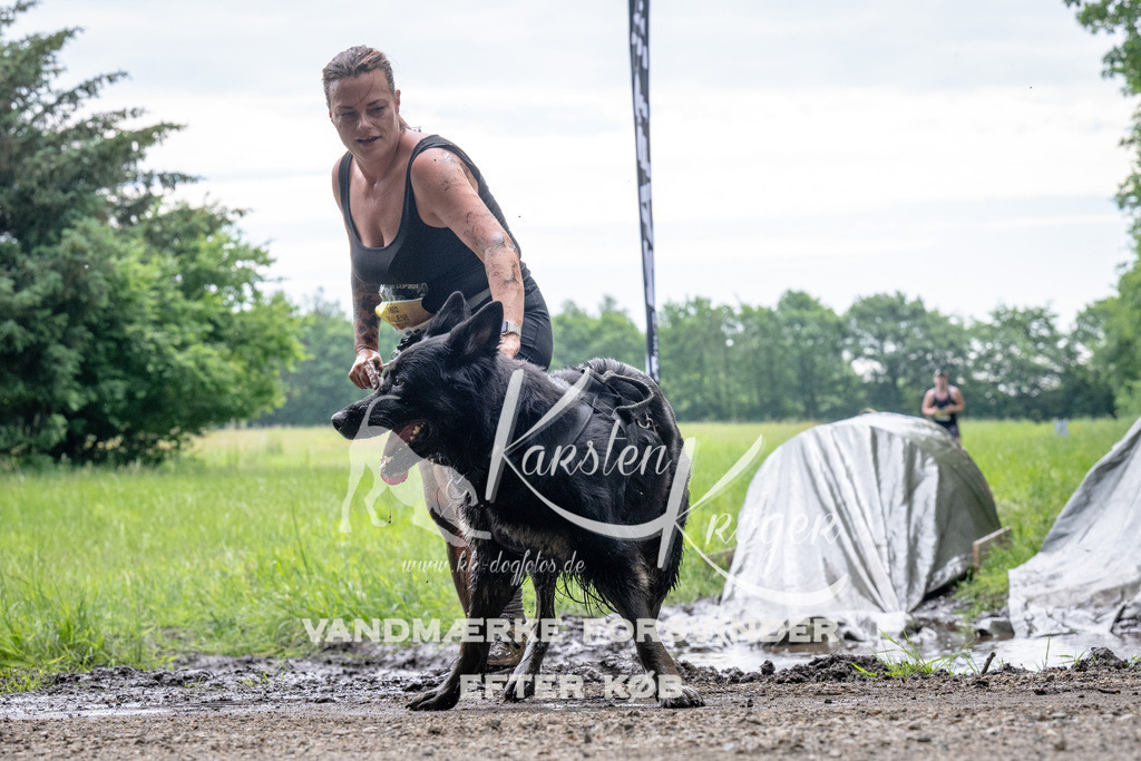 0946_ZZ91729 | kk-dogfotos