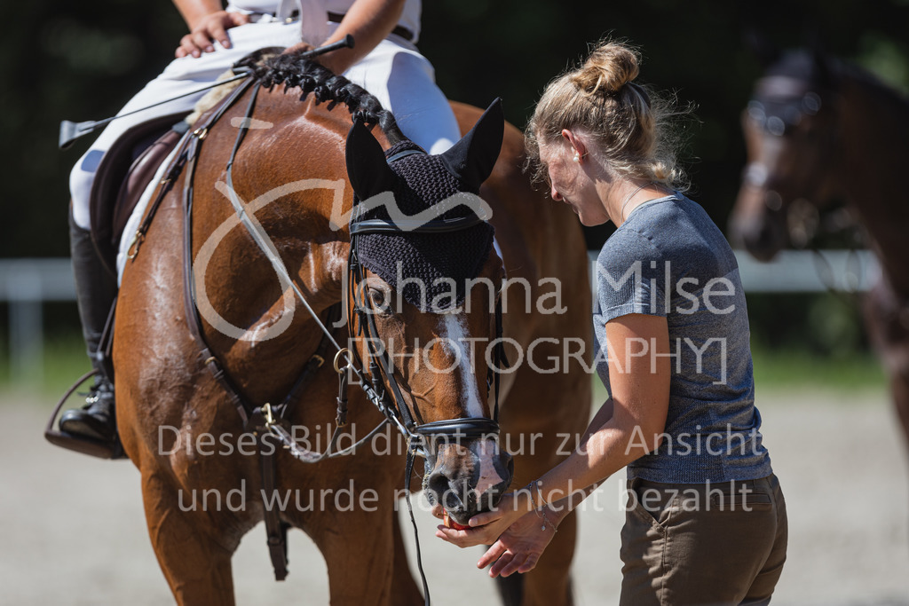220824_Delbrueck_Springpferde-A2-106 | Deine schönsten Turniermomente als professionelle Fotos! Entdecke hochwertige Pferdesport-Fotografie im Online-Shop. Jetzt Fotos finden & bestellen!