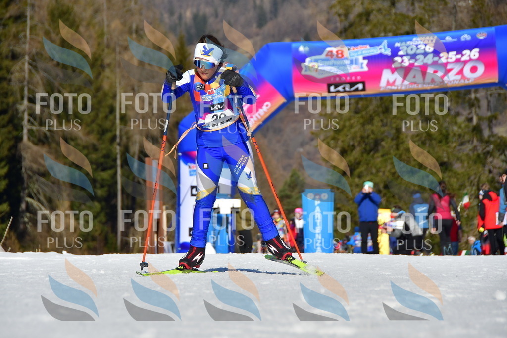 _DSC8781 | holidayphoto