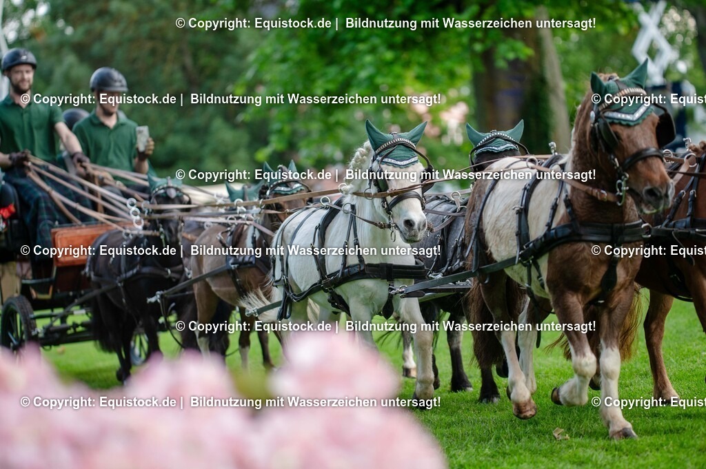 20250606_Lange-Pferdenacht_0115 | Foto: Thomas Hartig