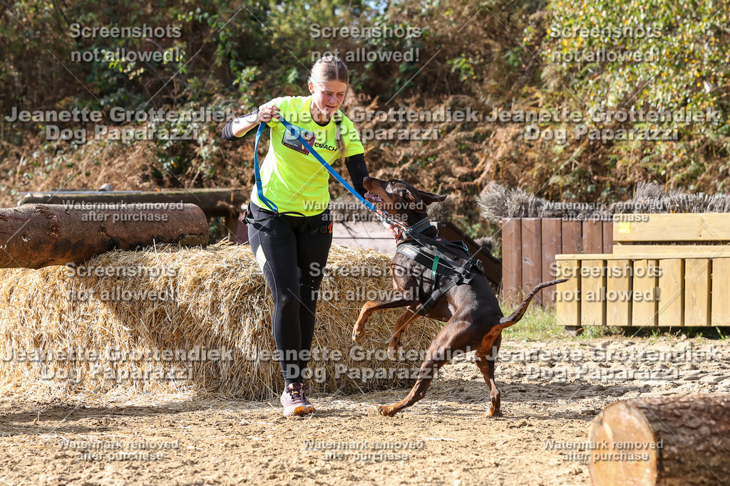 Dog Paparazzi - Strongdog 10-25-5702 | Dog Paparazzi Jeanette Grottendiek Fotografie & Videografie - Realisiert mit Pictrs.com