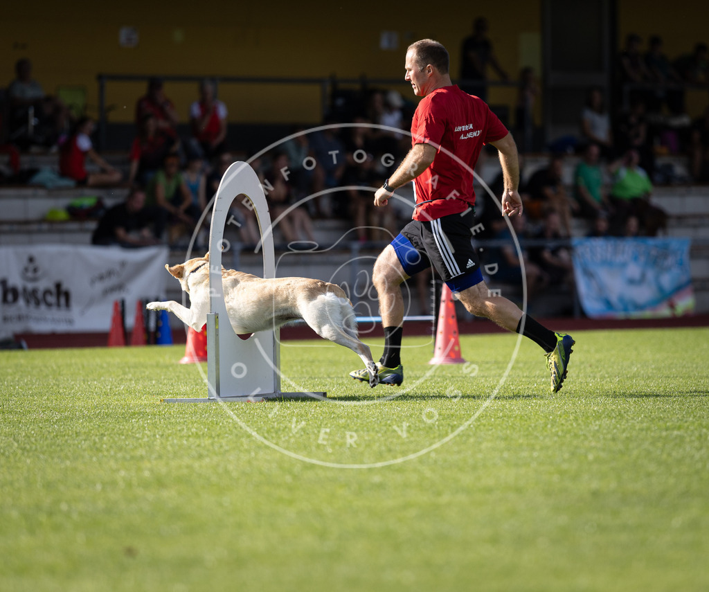 Pfotenfotografie_DV3A2168 | Hundefotografie, Tierfotograf, Pfotenfotografie, Fotoshooting Hund, Hunde Portrait, Hundesport, Hundeportraits, Heideshooting, Hunde, Sportfotograf, Hundefotograf, Turnierhundsport, THS,  - Realisiert mit Pictrs.com