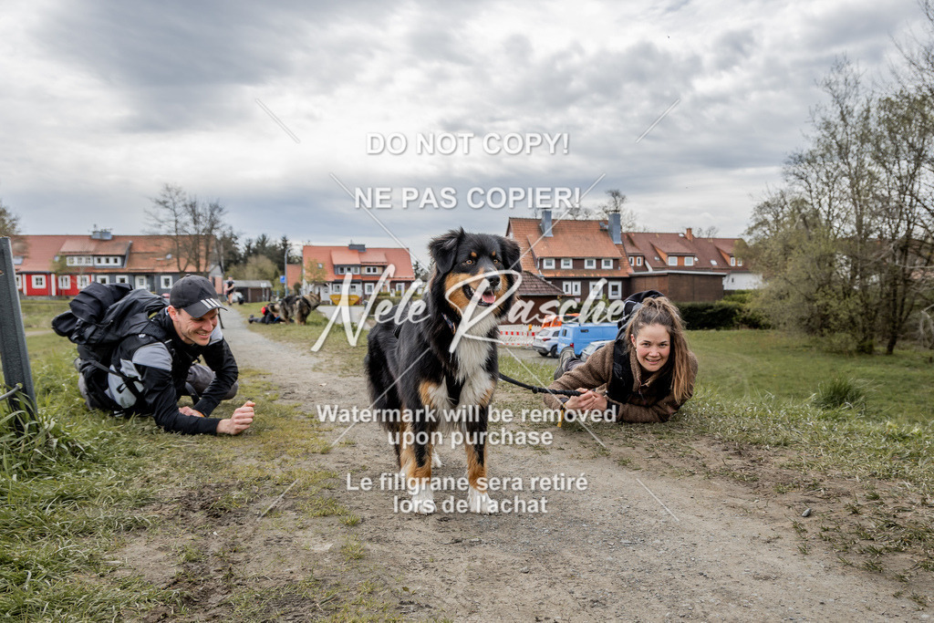 NR__2568 | nelerasche