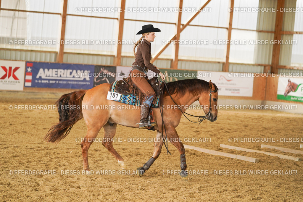 DSC04672 | Pferdegrafie