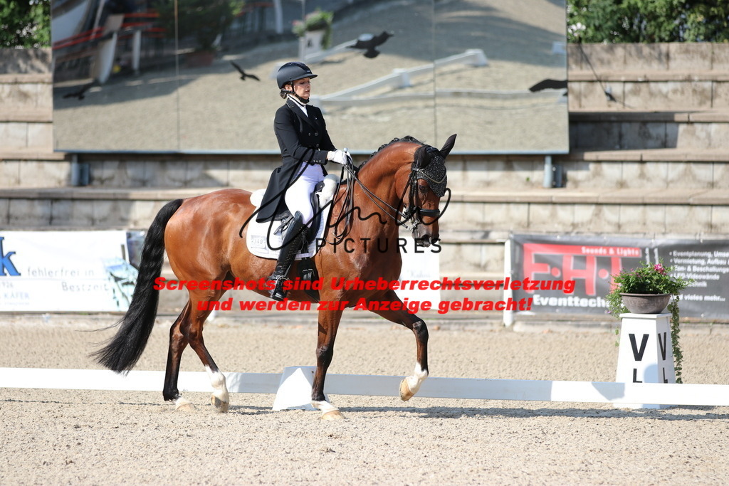 IMG_9121 | lmwpictures - Realisiert mit Pictrs.com