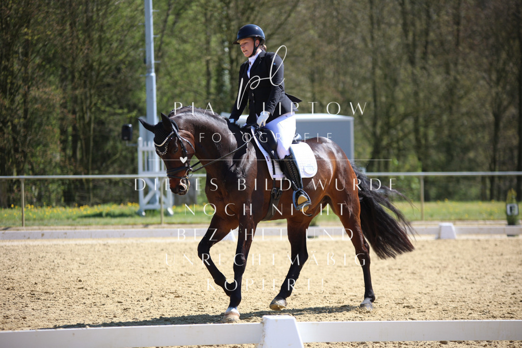 IMGT7564 | pl-fotografie