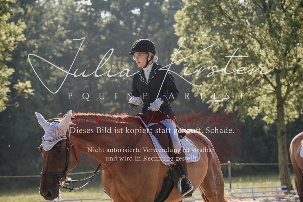 DSC_7751 | Pferde- und Turnierfotografie in Westsachsen. Pferdeportraits, Auftragszeichnungen und intuitive Kunst.