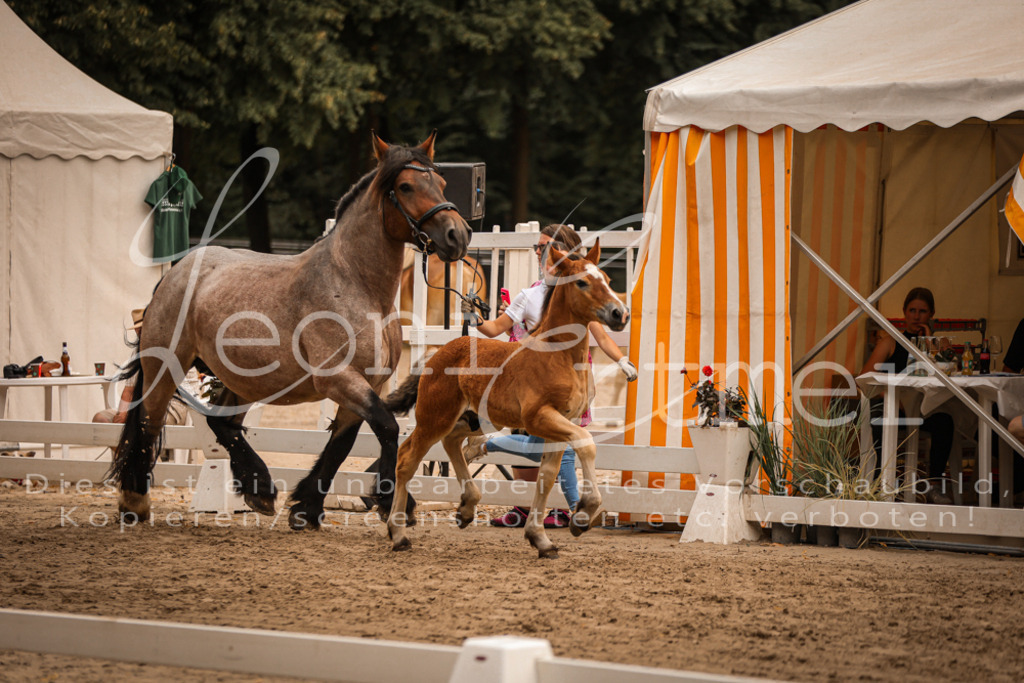 SaHF00012 | Leoni Ertmer Photography - Realisiert mit Pictrs.com