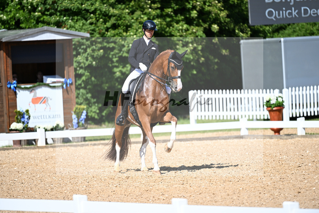 Werndl_Quick Decision_11252199 | hf-fotografie - Realisiert mit Pictrs.com