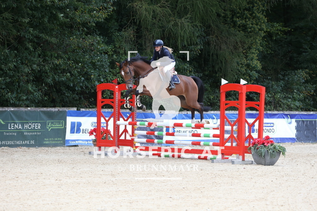 DL2Q0675 | Willkommen bei Brunnmayr - Design & Fotografie – Ihrem Spezialisten für Reitturniere und Pferdeveranstaltungen in Oberösterreich, Salzburg und Bayern! Seit über 17 Jahren sind wir leidenschaftlich dabei.