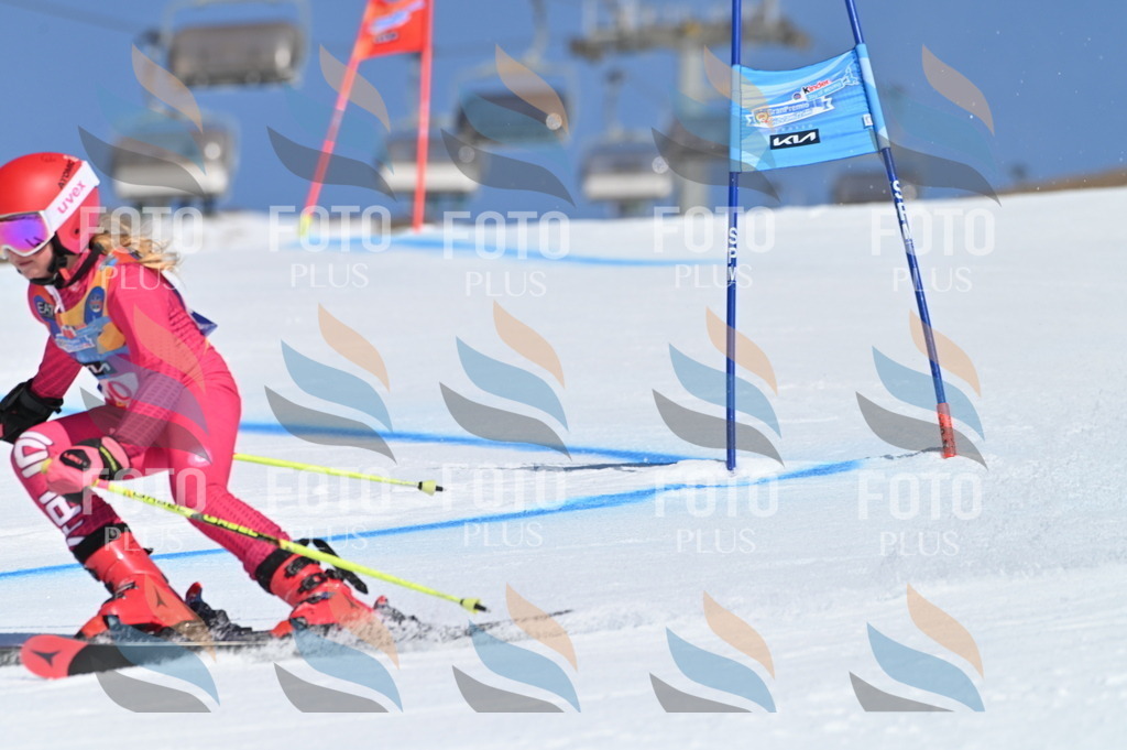 BGV_8360 | holidayphoto