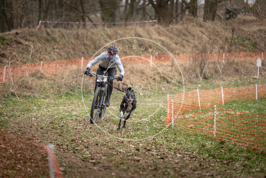 Pfotenfotografie_DV3A6550 | Hundefotografie, Tierfotograf, Pfotenfotografie, Fotoshooting Hund, Hunde Portrait, Hundesport, Hundeportraits, Heideshooting, Hunde, Sportfotograf, Hundefotograf, Turnierhundsport, THS,  - Realisiert mit Pictrs.com