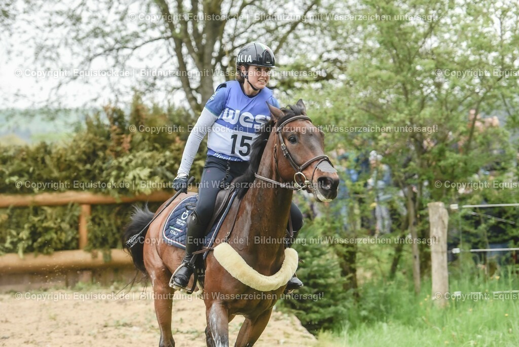 20230513_CCI4_Gelände_0217 | equistock