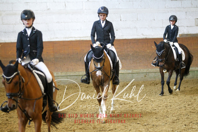 DKP43835 | Turniersportfotografie; Pferdefotografie; Dressurfotografie