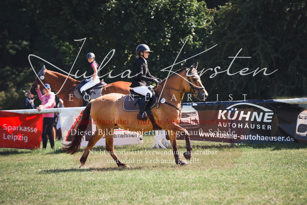 DSC_9248 | Pferde- und Turnierfotografie in Westsachsen. Pferdeportraits, Auftragszeichnungen und intuitive Kunst.
