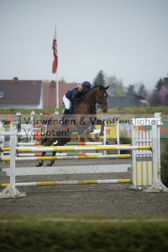 _DSC6199 | equestrian-live-com