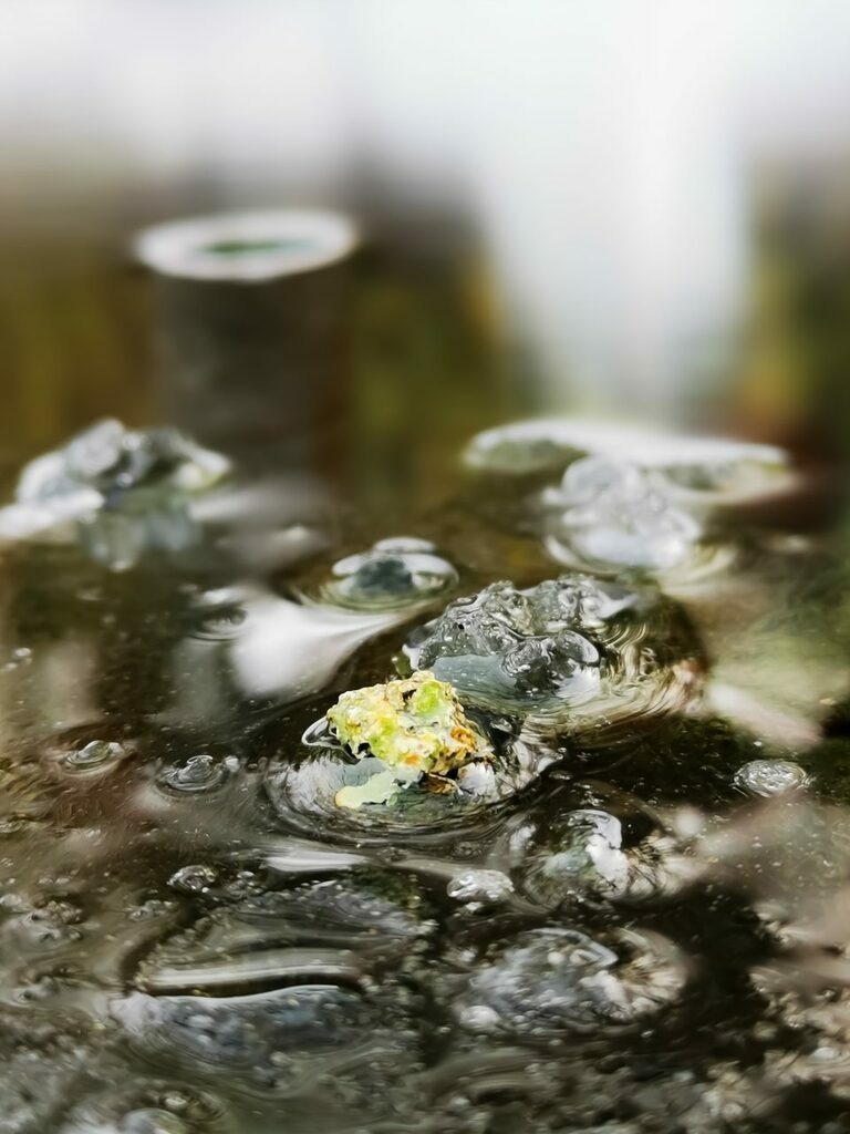 PSX_20211228_231404 | mtkfoto_ - Realisiert mit Pictrs.com