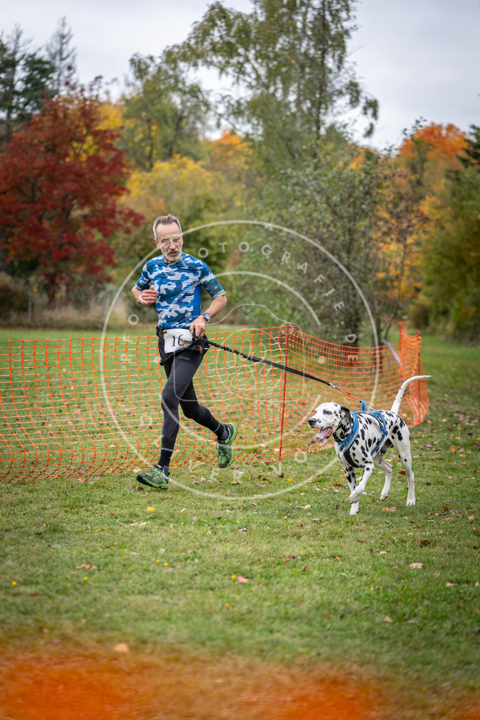 Pfotenfotografie_DV3A1895 | Hundefotografie, Tierfotograf, Pfotenfotografie, Fotoshooting Hund, Hunde Portrait, Hundesport, Hundeportraits, Heideshooting, Hunde, Sportfotograf, Hundefotograf, Turnierhundsport, THS,  - Realisiert mit Pictrs.com