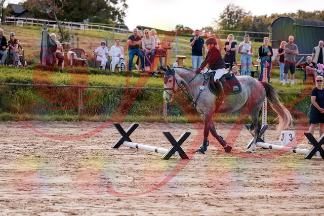 2026_10_03_Siefer-Hof_145110_Z81_29595036 | Professionelle Reitsport-, Turnier- und Eventfotografie von Robert Broda. Galerien mit ausgewählten und bearbeiteten Bildern direkt online ansehen und bestellen.
