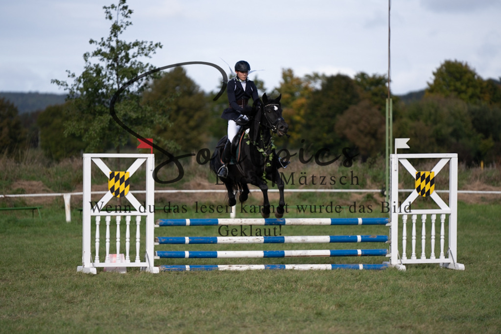 A7V06577 | Pferdefotograf