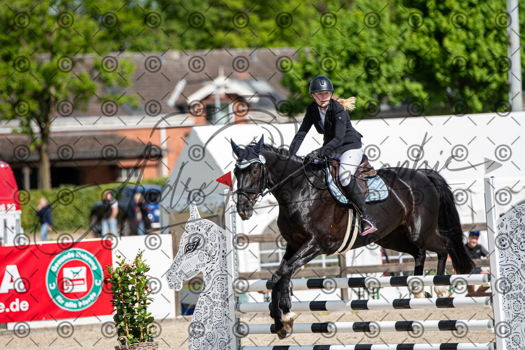 KPT_4935 | andre_photographic