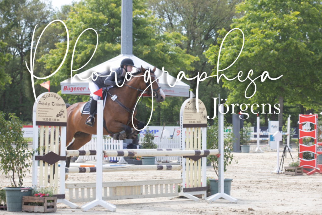 IMG_4046 | photographesa-joergens - Realisiert mit Pictrs.com