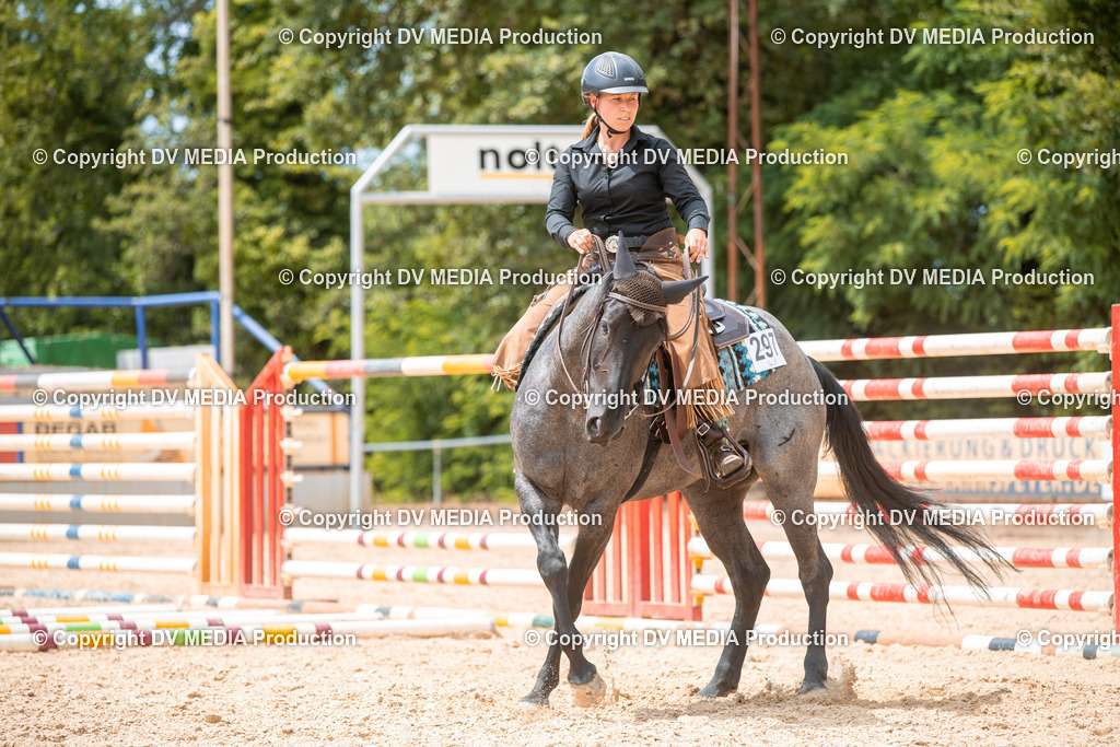 EWP_6478 | dv-media-shop - Realisiert mit Pictrs.com